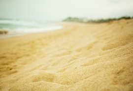 На омских пляжах капитально обновят песок