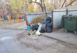 В Омске «объединили» мусорную и детскую площадки
