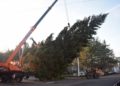 В Уфе начали устанавливать новогодние елки