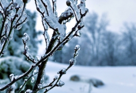 Синоптики рассказали, какой погодой закончится зима в Омской области