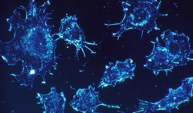 Трехмерные модели помогут вывести исследования рака на новый уровень