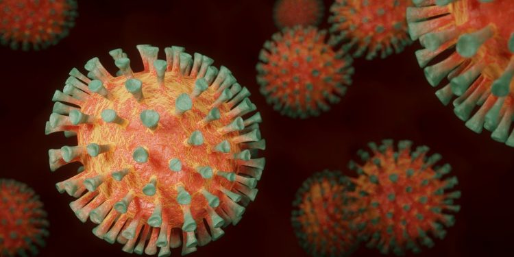 В США опубликовали новые результаты испытаний вакцины от коронавируса