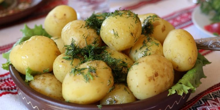 Стала известна «вопиющая» ошибка при варке картофеля