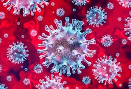 В Омской области инфицированные коронавирусом почти сравнялись с выздоровевшими