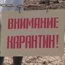 В двух районах Омской области ввели карантин из-за опасной вирусной инфекции