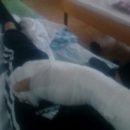 Попавший под резню омский школьник выбирает средство для самообороны, потому что «бокс не помог»