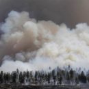 Из-за лесных пожаров омский воздух стал опасным для здоровья