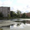 Как в Омске по нацпроекту благоустраивают территорию у озера Кирпичка