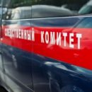 Стали известны подробности гибели пропавшей в Омске трехлетней девочки Стали известны подробности гибели пропавшей в Омске трехлетней девочки