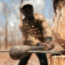 Омича, вырубившего восемь деревьев ради парковки, жестко наказали