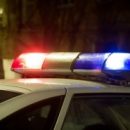 На севере Омской области пьяная компания на автомобиле протаранила дерево
