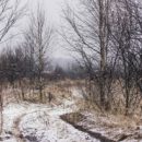 Неделя в Омской области начнется с капризной погоды