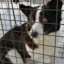 Сбежавшие в холодные омские леса подруги после спасения забились в угол и никому не доверяют