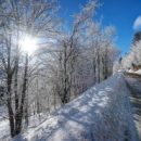 Трассу из Казахстана в Омск открыли после отступления снегопада
