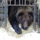 Косолапая омичка-интриганка Маша игнорирует текущую вокруг нее жизнь