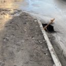 В Омске у бульвара Победы в асфальте образовалась зияющая бездна