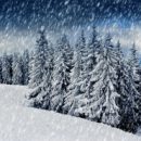 После праздничных выходных в Омск вернется снегопад