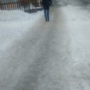 В Омске собрались реконструировать ледовую арену
