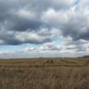 Подсчитана стоимость землевладений каждого омича