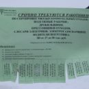 В Омске доля сортируемых отходов достигла 38 %