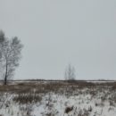 В Омской области и почти всей России ожидается ультраполярное вторжение