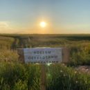 Омские пчеловоды создали профсообщество для решения проблем